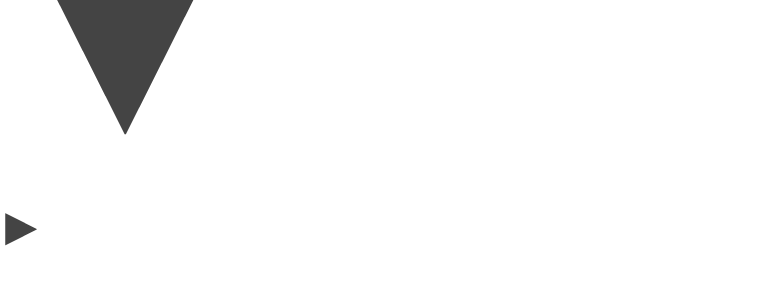 Logo-Voss